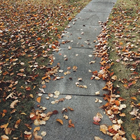 Path Clearing